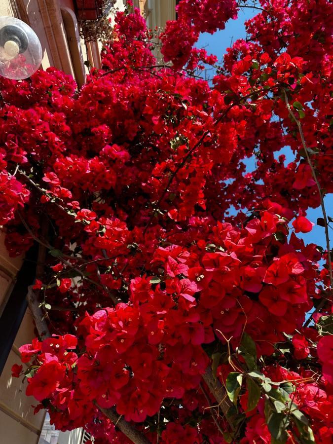 Mariviva Guest House Terracina Exterior foto