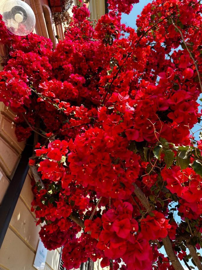 Mariviva Guest House Terracina Exterior foto